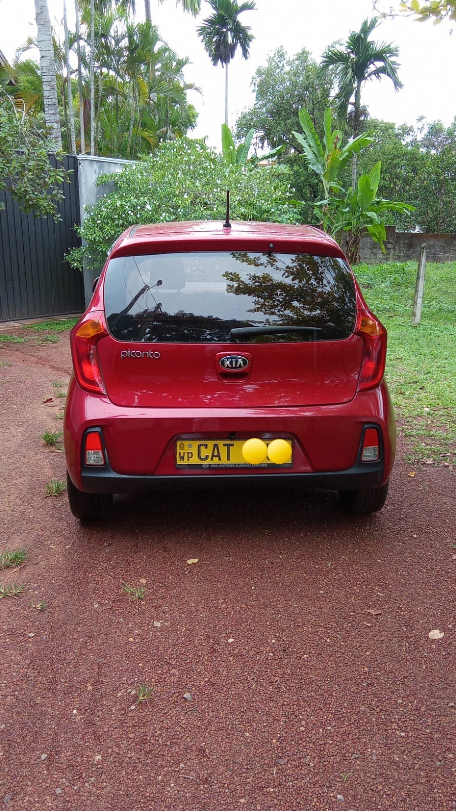 Kia Picanto 2016