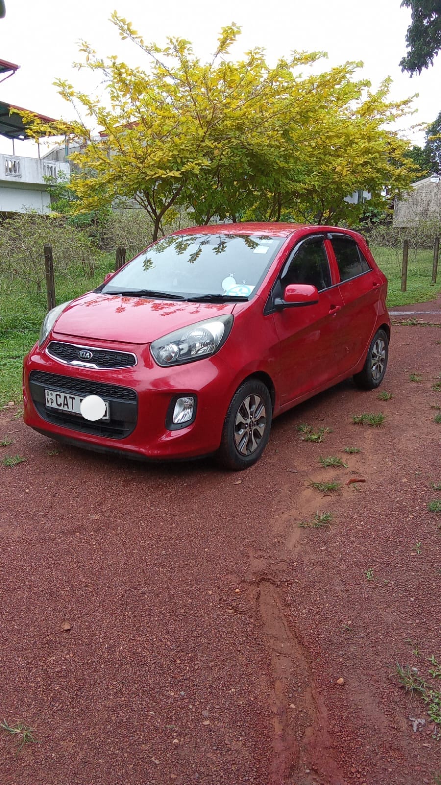 Kia Picanto 2016