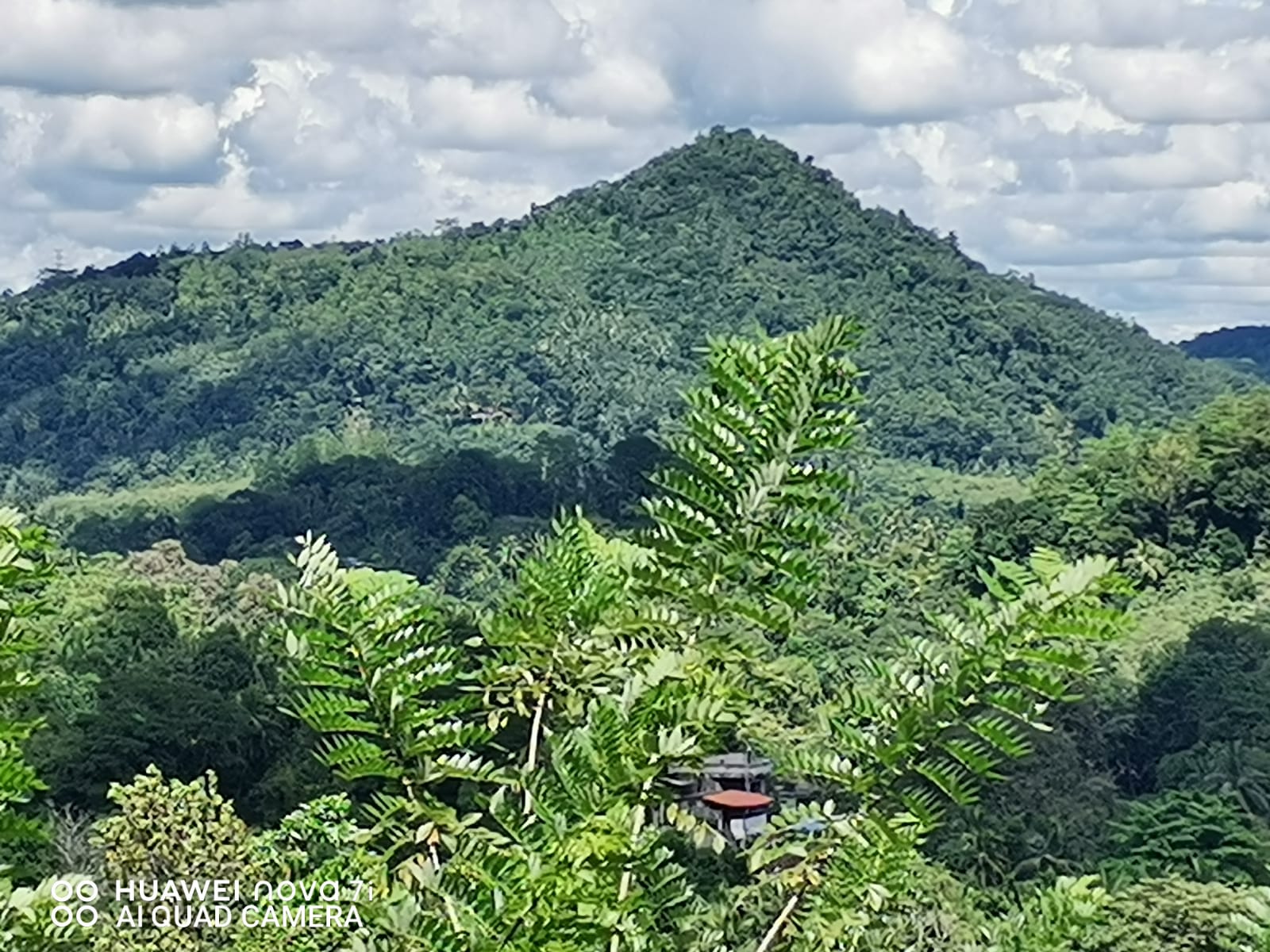 Land for Sale in Kegalle