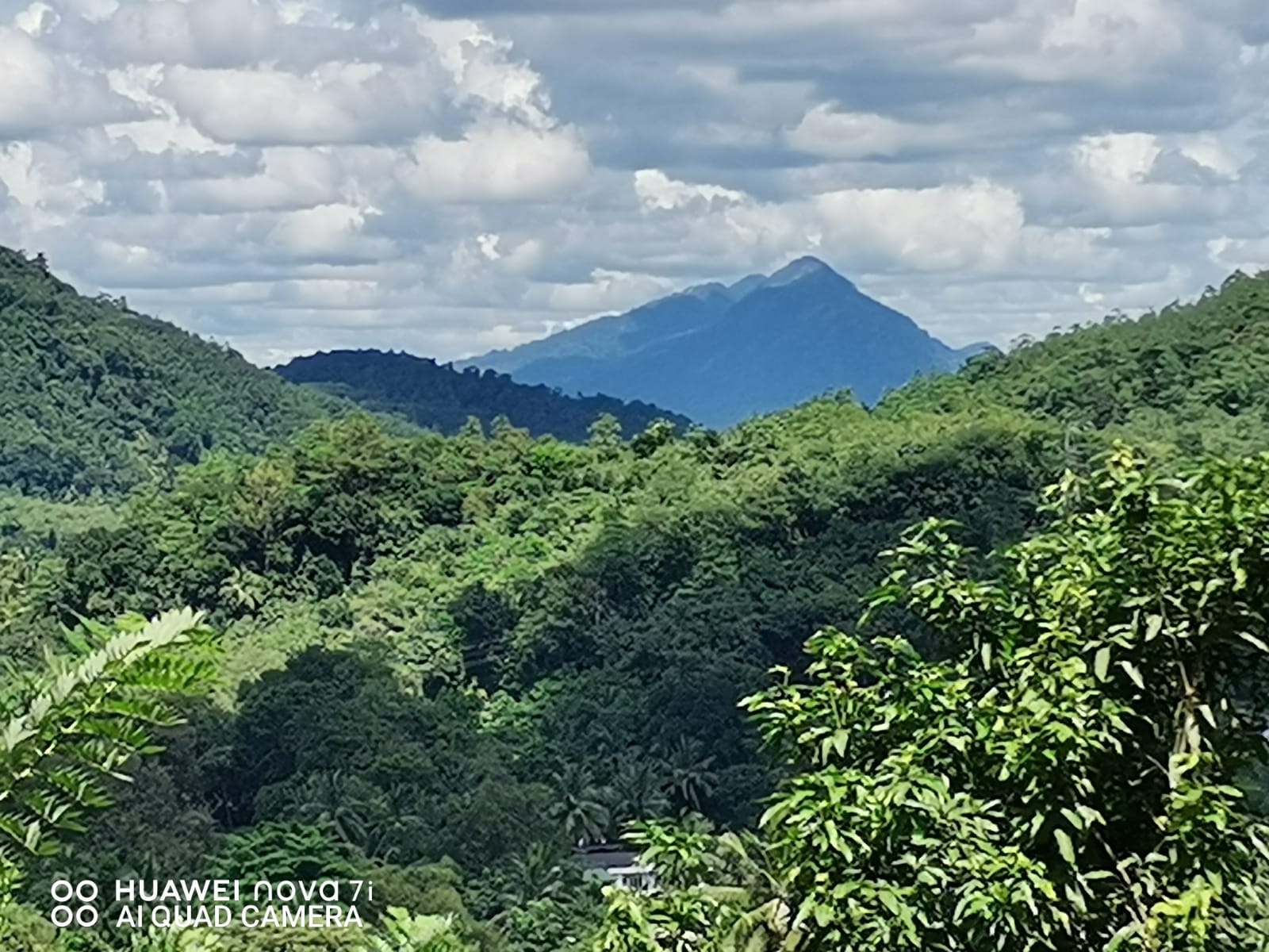 Land for Sale in Kegalle