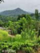 Land for Sale in Kegalle