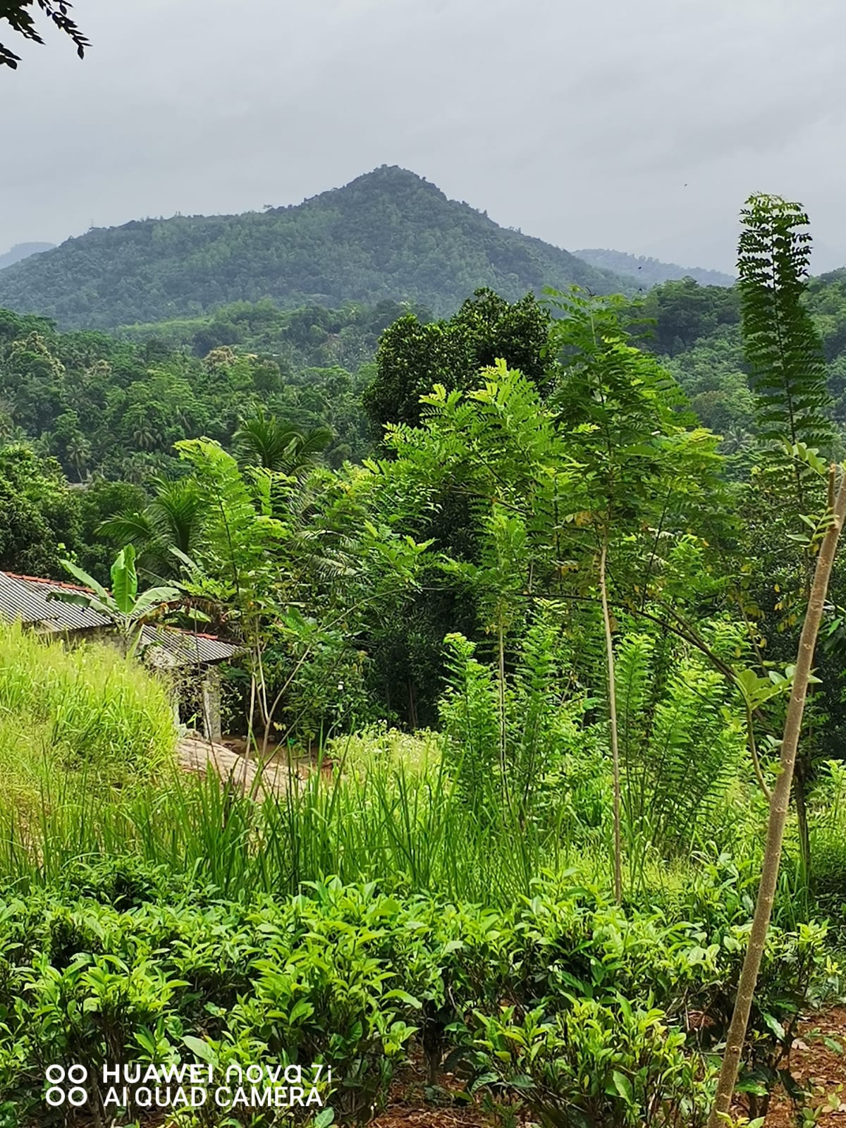 Land for Sale in Kegalle