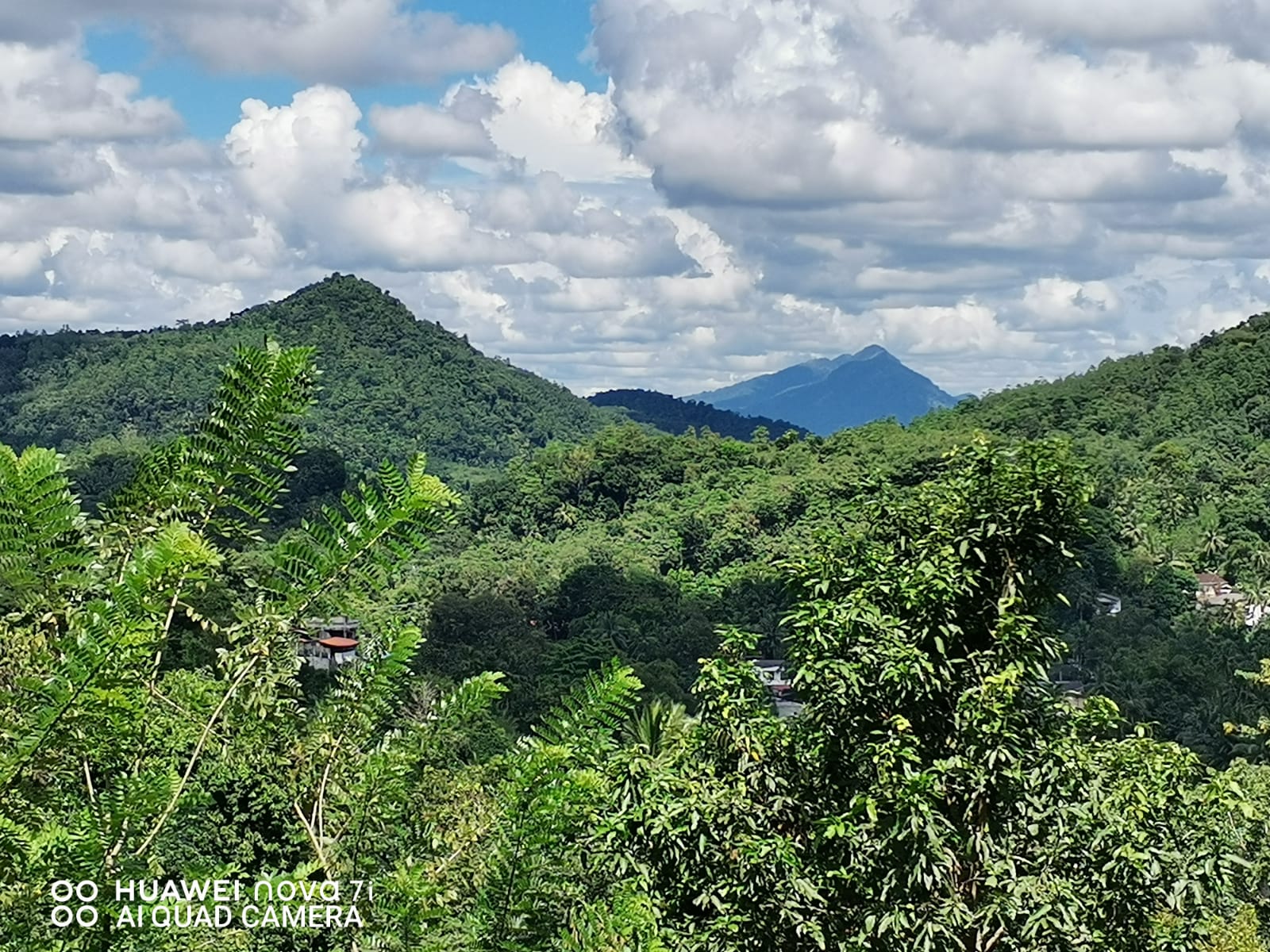 Land for Sale in Kegalle