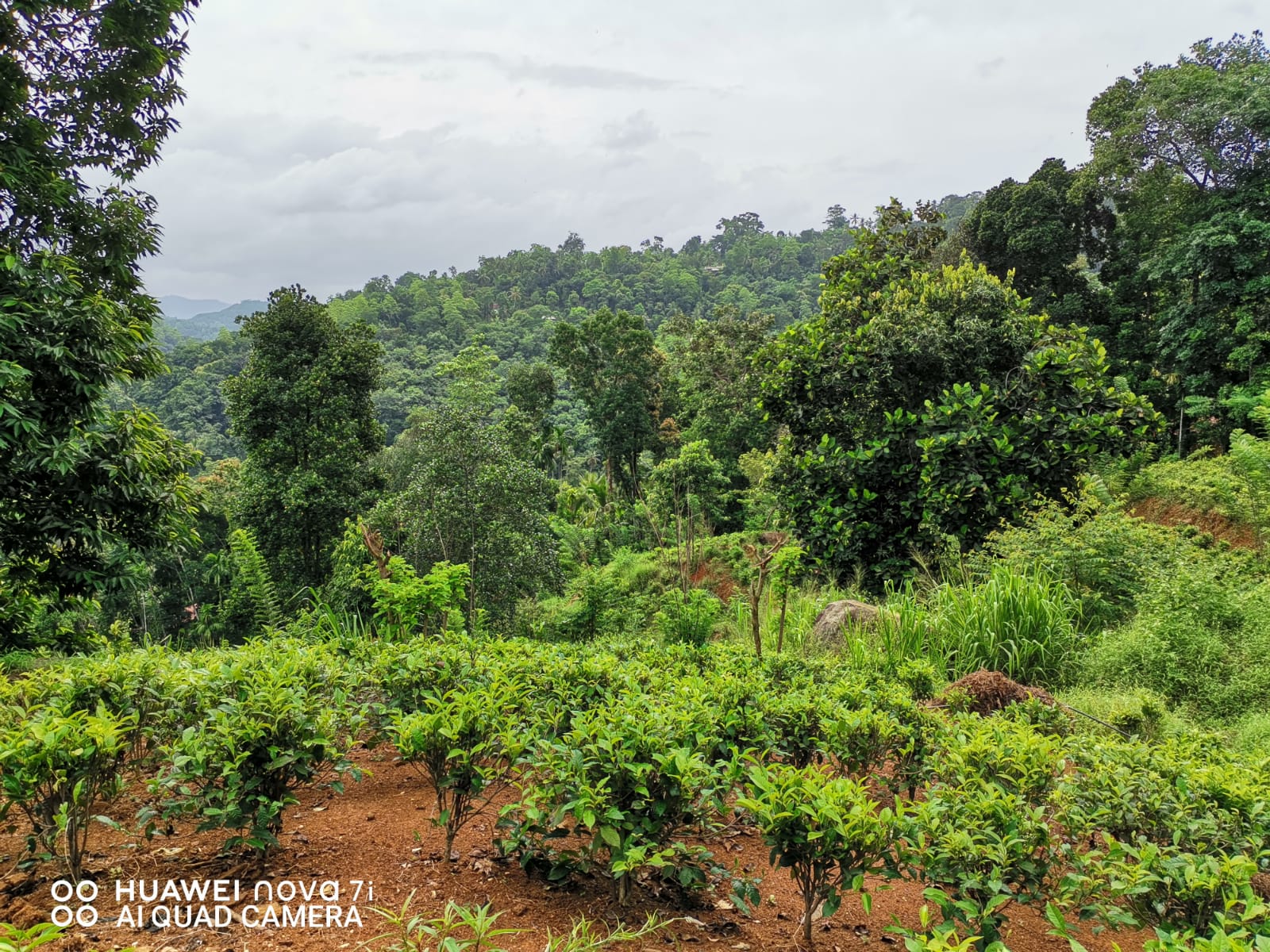 Land for Sale in Kegalle