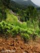 Land for Sale in Kegalle