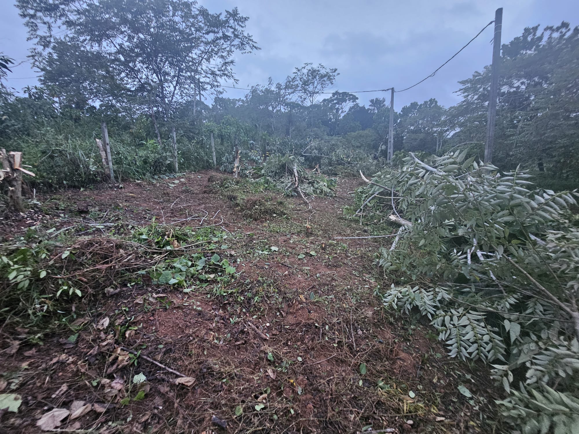 10.2P bare land for sale in Weediyagoda Road, Gonapola (Highway Estate Homelands)