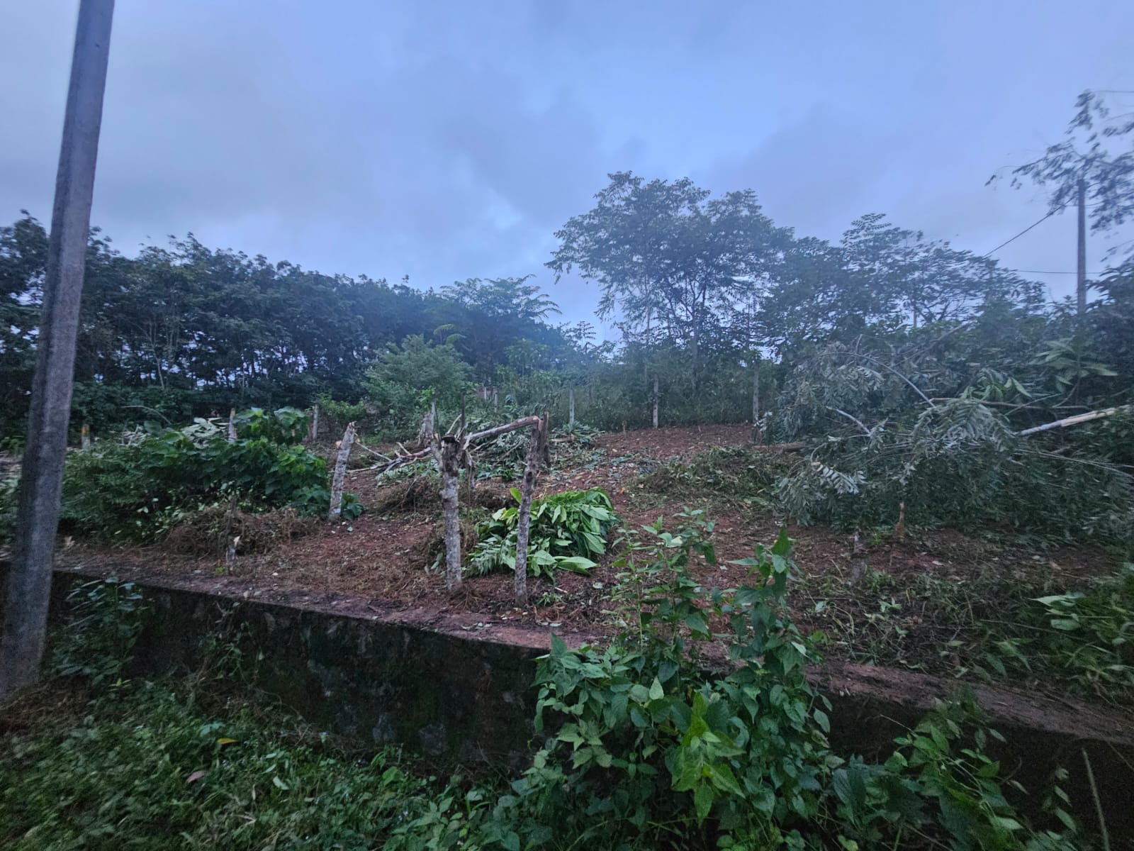 10.2P bare land for sale in Weediyagoda Road, Gonapola (Highway Estate Homelands)