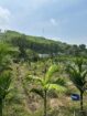 Agricultural Land for Sale Kosgama