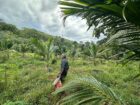 Agricultural Land for Sale Kosgama
