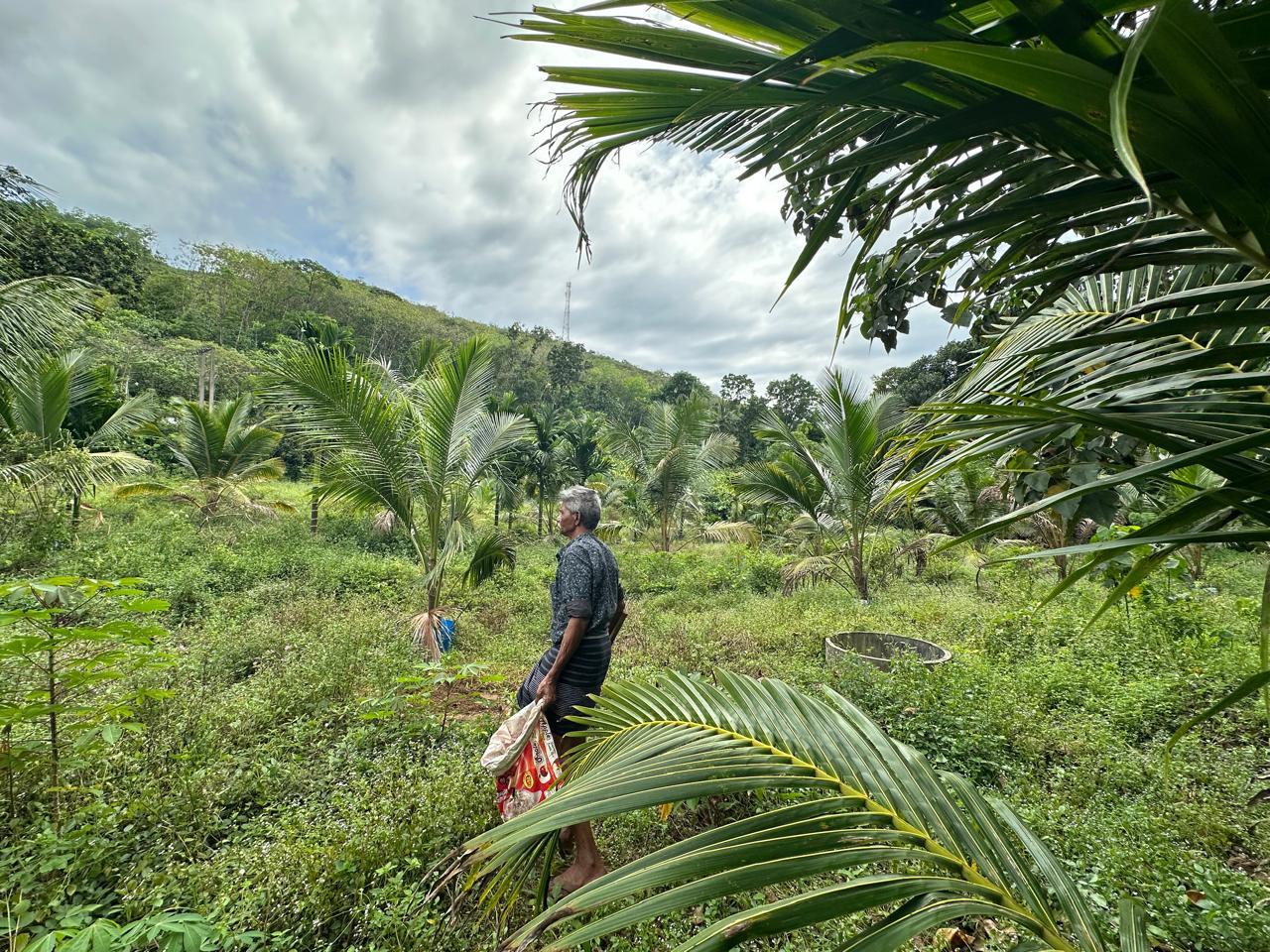 Agricultural Land for Sale Kosgama
