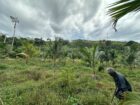 Agricultural Land for Sale Kosgama