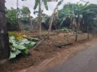 Land for Sale in Maharagama