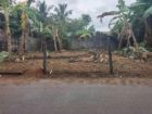 Land for Sale in Maharagama