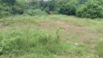Thalaramba Land for Sale