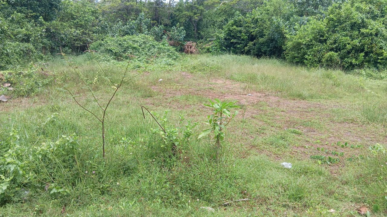 Thalaramba Land for Sale