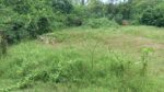 Thalaramba Land for Sale