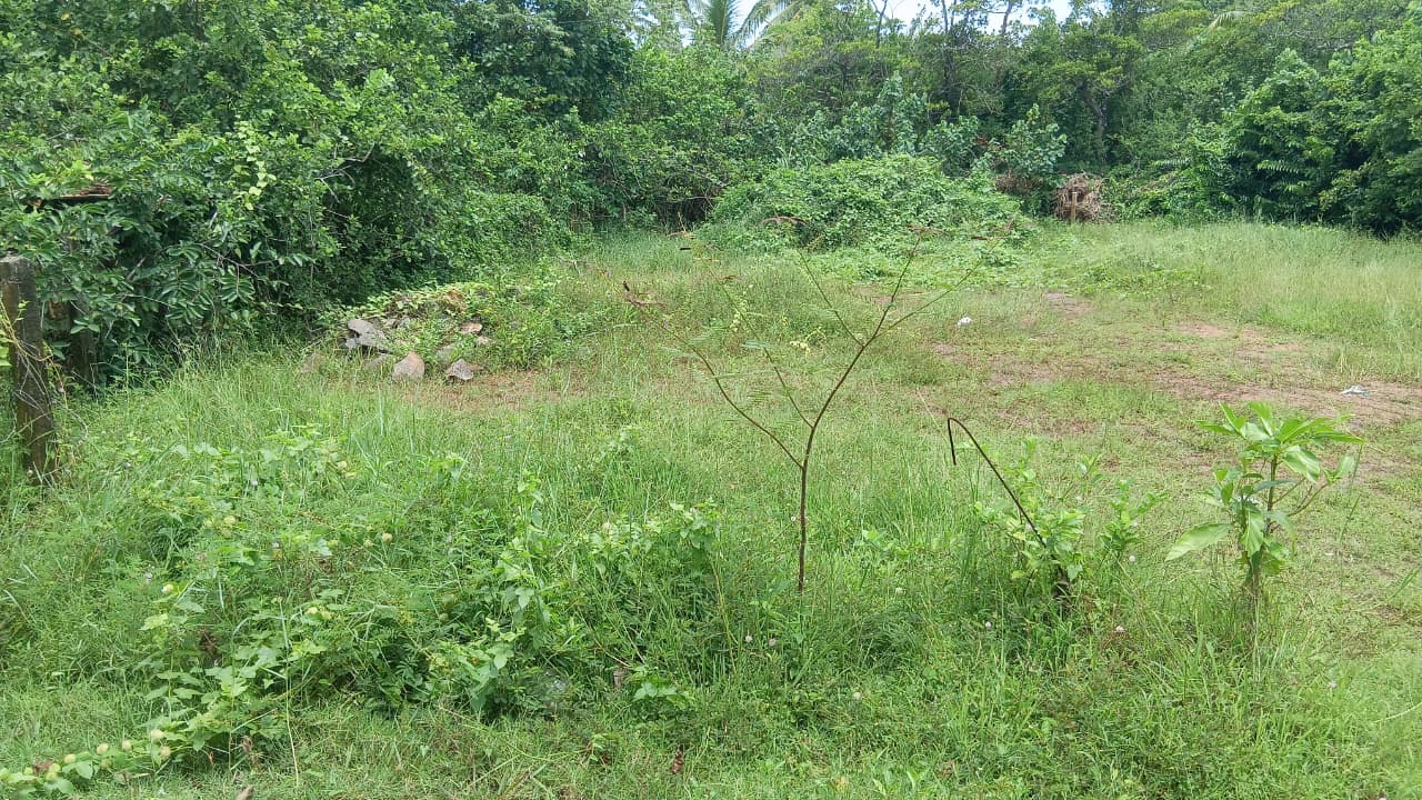 Thalaramba Land for Sale