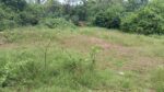Thalaramba Land for Sale