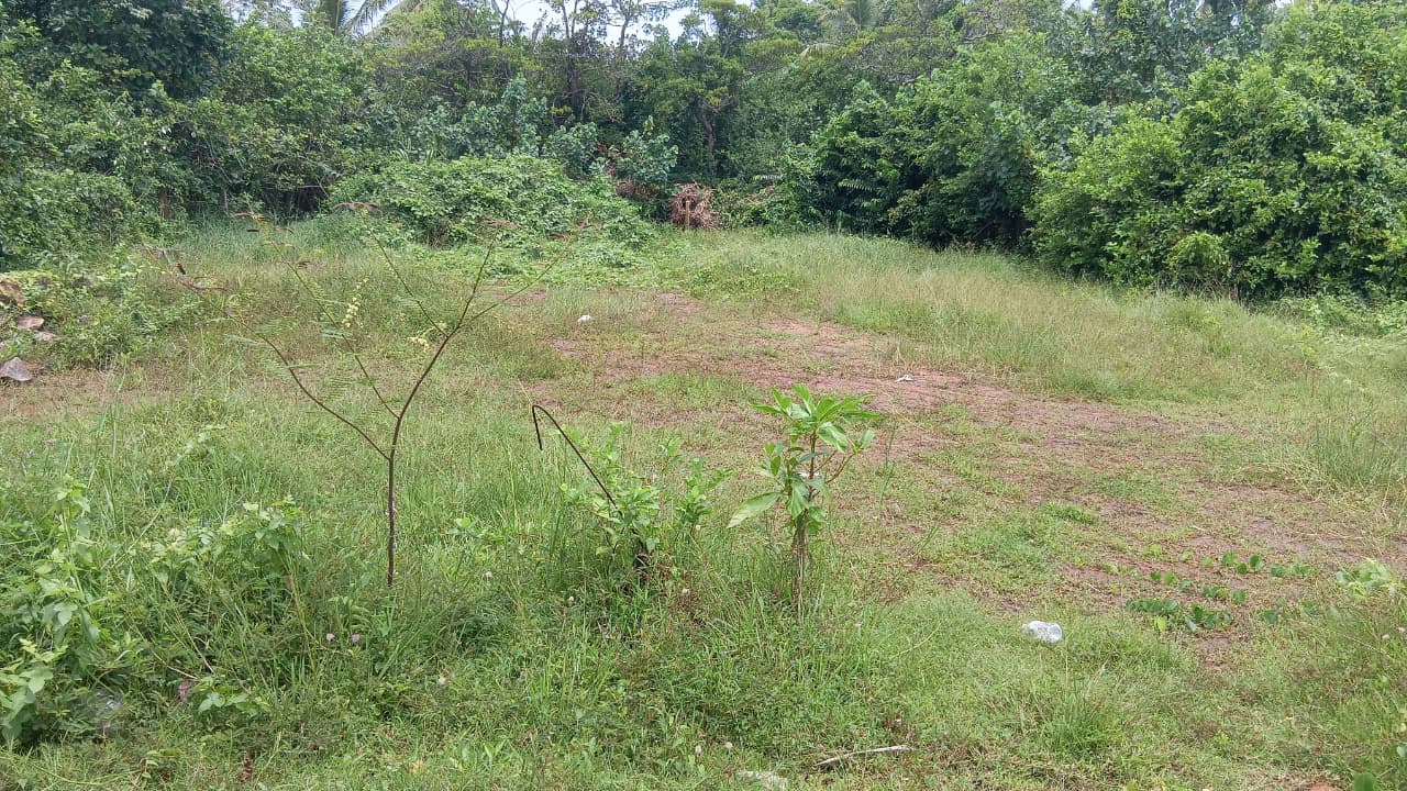 Thalaramba Land for Sale