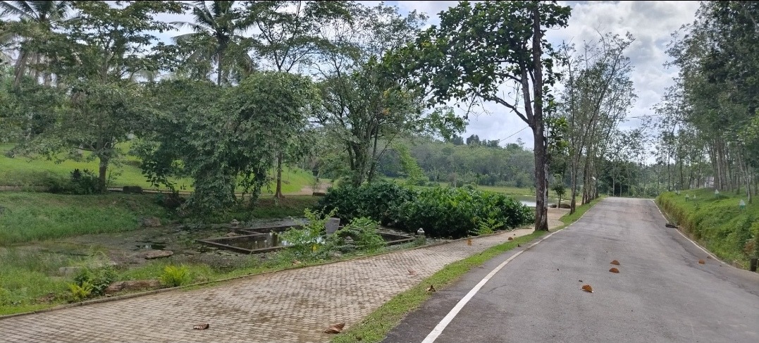 Land for Sale Meegoda, Homagama