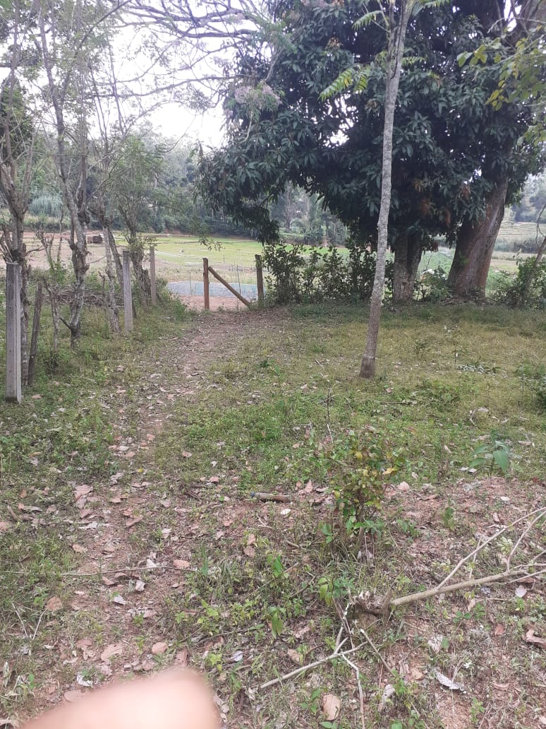 වැලිමඩ – බොරලන්ද නිවසක් සහිත ඉඩමක් විකිණීමට