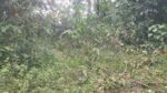 80perch in Meepe .Pinnawala .Free Under Contruction Home