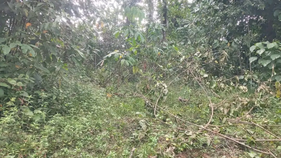 80perch in Meepe .Pinnawala .Free Under Contruction Home