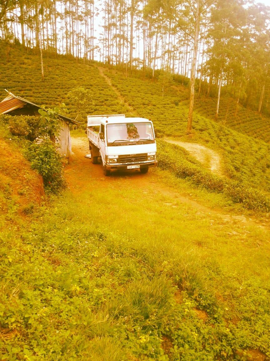 Land For Sale In Kotagala,Nuwara Eliya