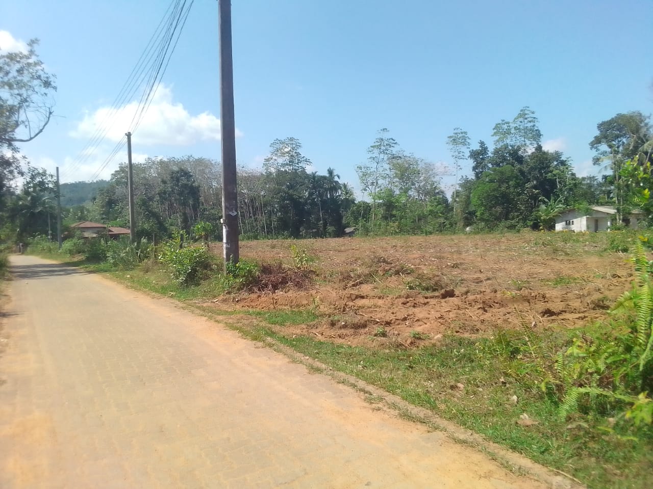 හොරණින් අනර්ඝ ඉඩමක් ඉතාම ඉක්මනින් විකිණීමට