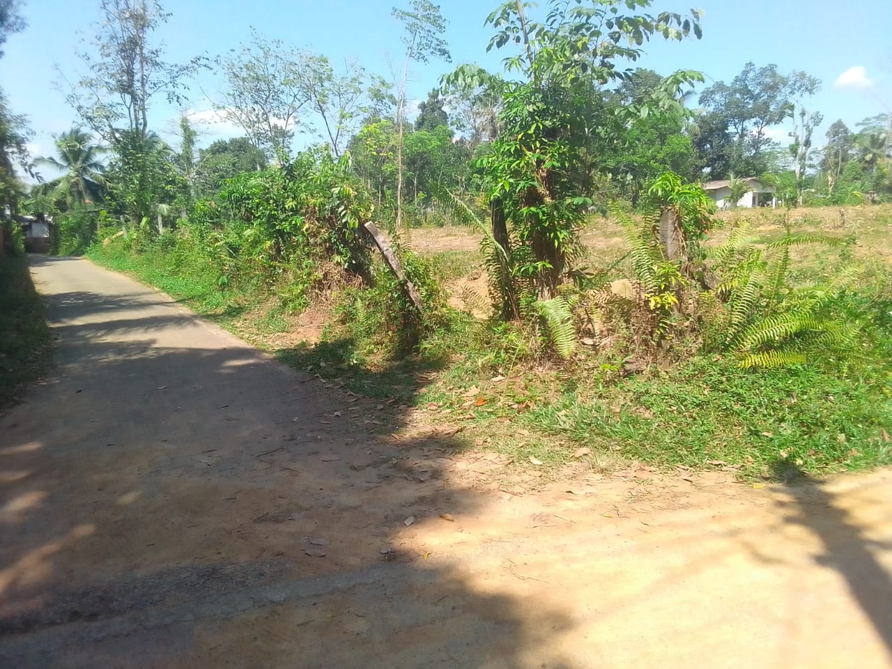 හොරණින් අනර්ඝ ඉඩමක් ඉතාම ඉක්මනින් විකිණීමට