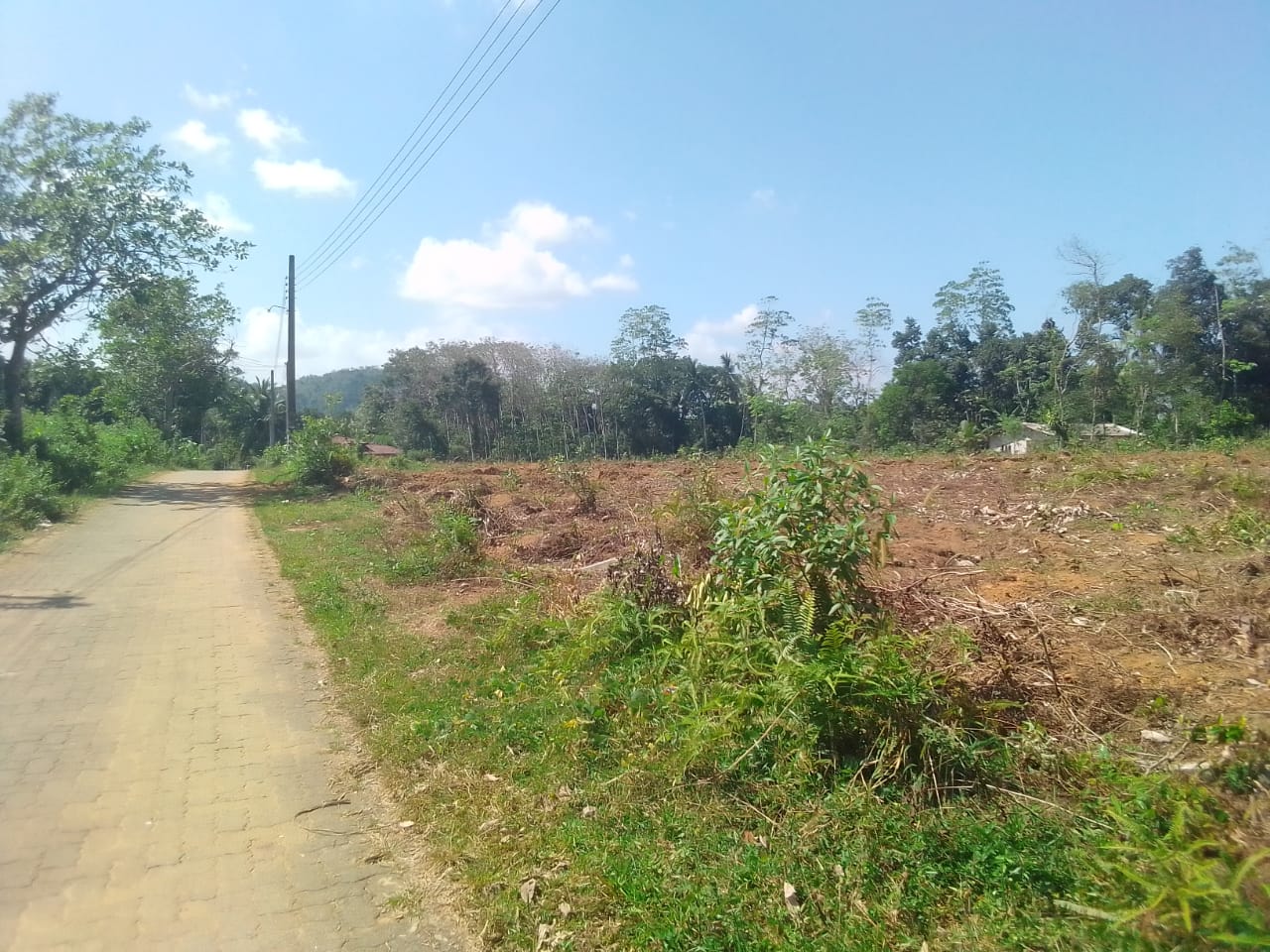 හොරණින් අනර්ඝ ඉඩමක් ඉතාම ඉක්මනින් විකිණීමට
