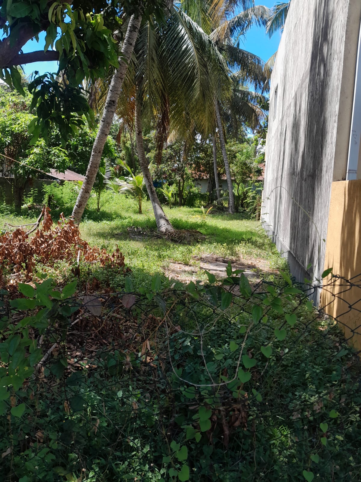 Land for Sale in Kurana Samagi Mawatha Negombo
