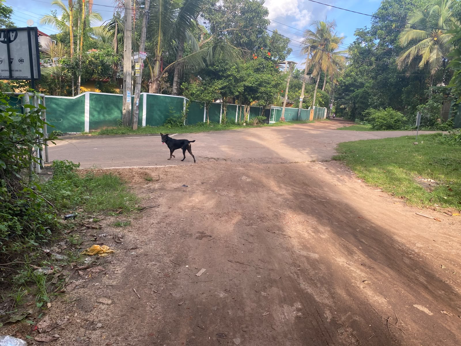 පර්චස් 10 ක අගනා ඉඩමක් විකිණීමට කැළනිය අවටින්