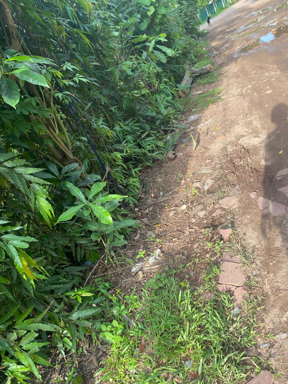පර්චස් 10 ක අගනා ඉඩමක් විකිණීමට කැළනිය අවටින්
