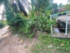 පර්චස් 10 ක අගනා ඉඩමක් විකිණීමට කැළනිය අවටින්