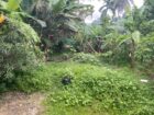 පර්චස් 10 ක අගනා ඉඩමක් විකිණීමට කැළනිය අවටින්