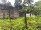 Land for Sale – Kirillawala