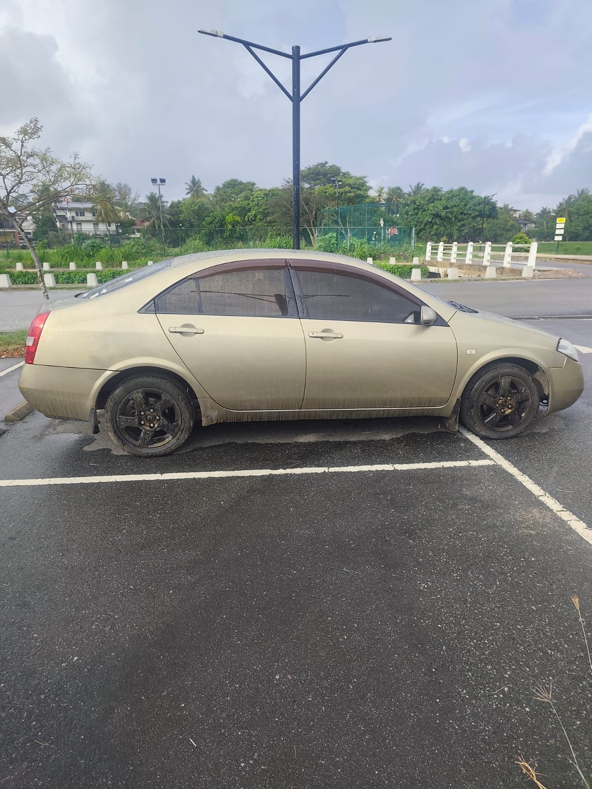 Nissan Primera 2002