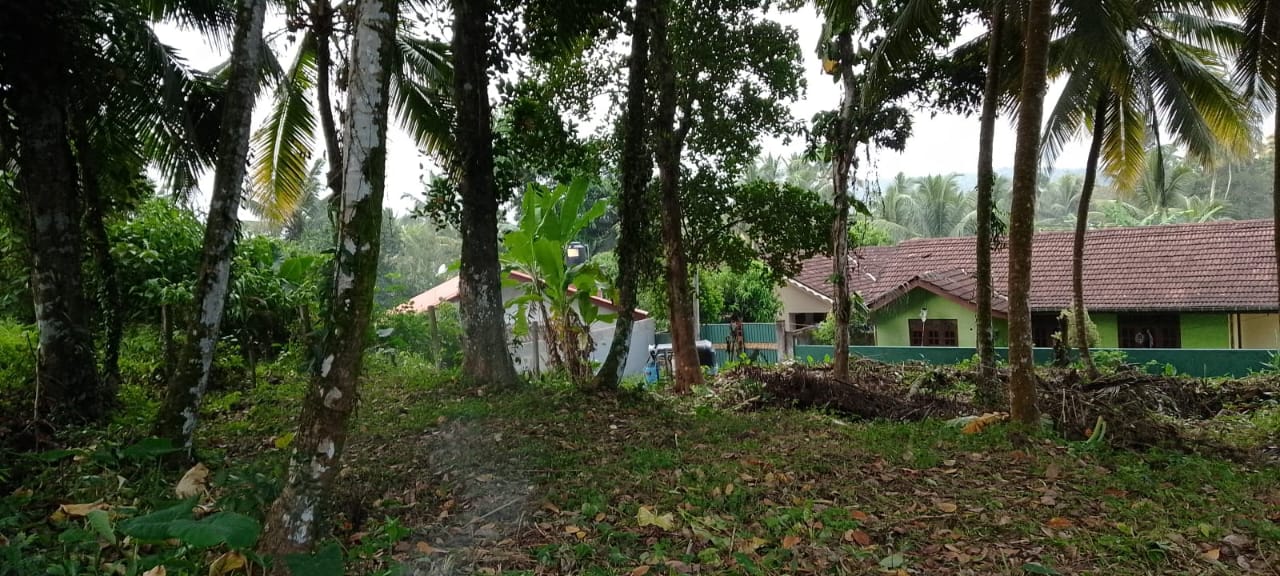 ඉඩම විකීනීමට – බැල්ලපිටිය