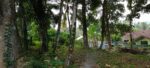 ඉඩම විකීනීමට – බැල්ලපිටිය