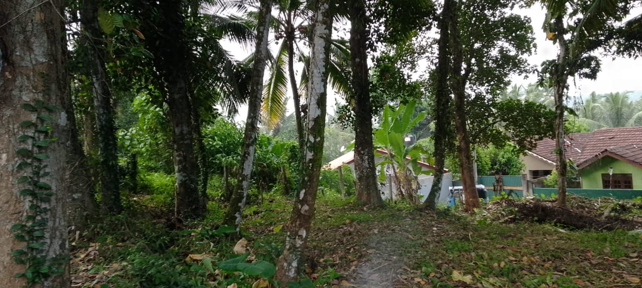 ඉඩම විකීනීමට – බැල්ලපිටිය