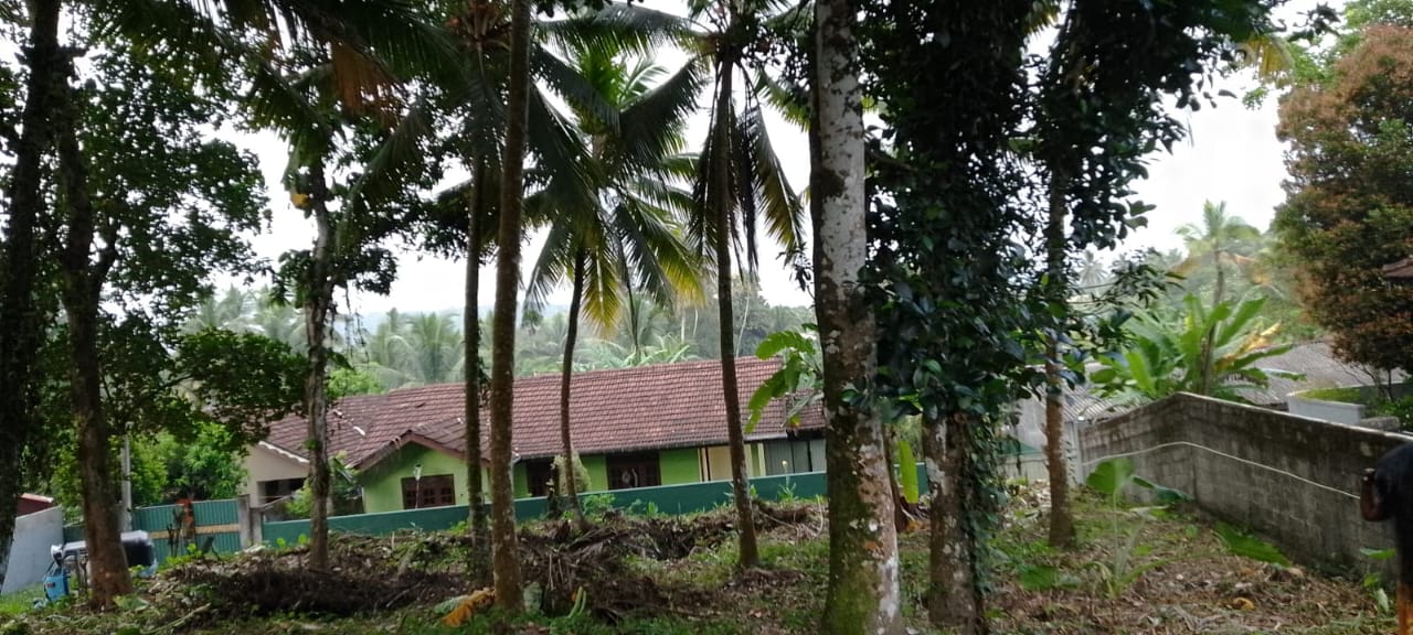 ඉඩම විකීනීමට – බැල්ලපිටිය