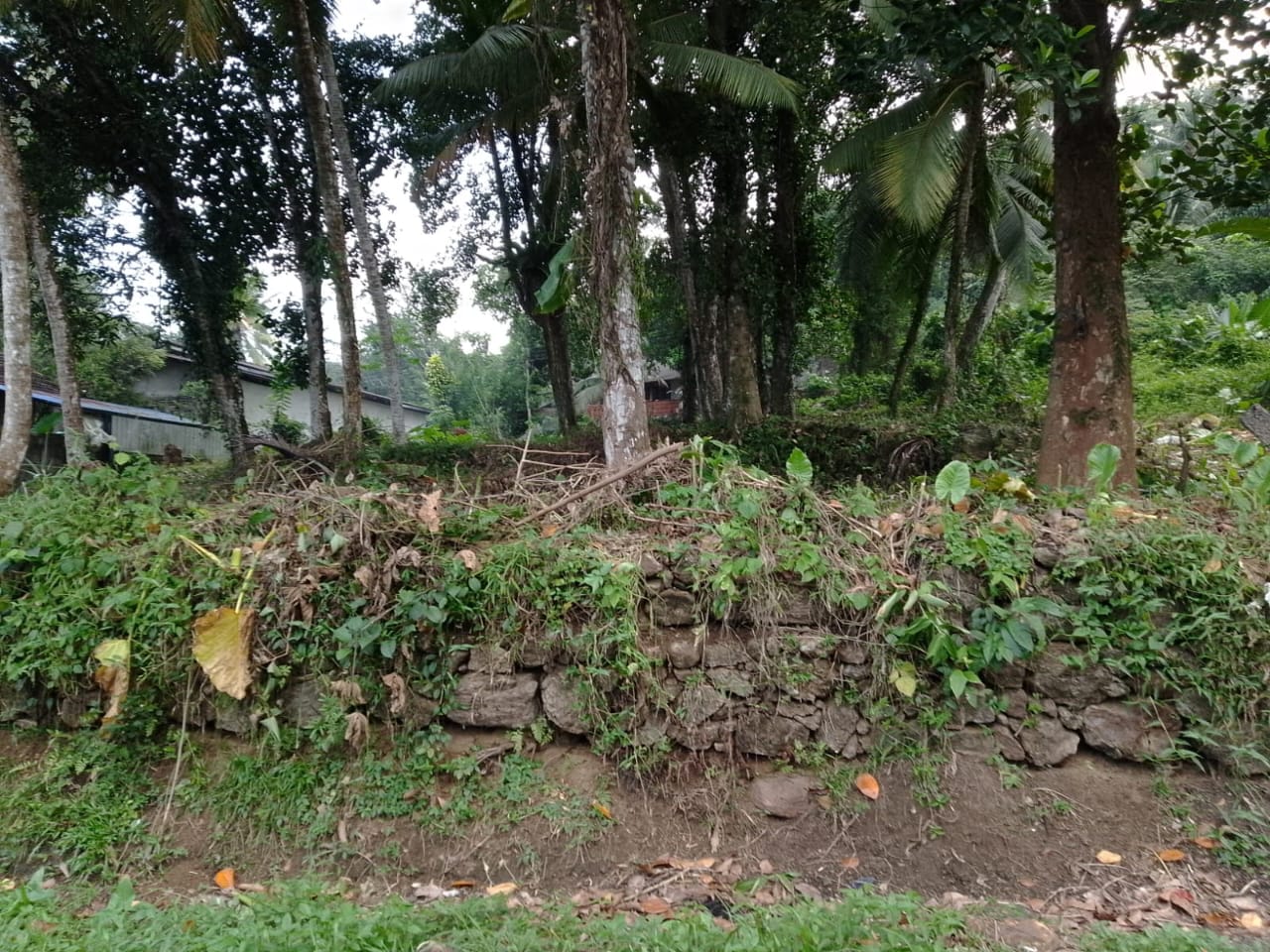 ඉඩම විකීනීමට – බැල්ලපිටිය