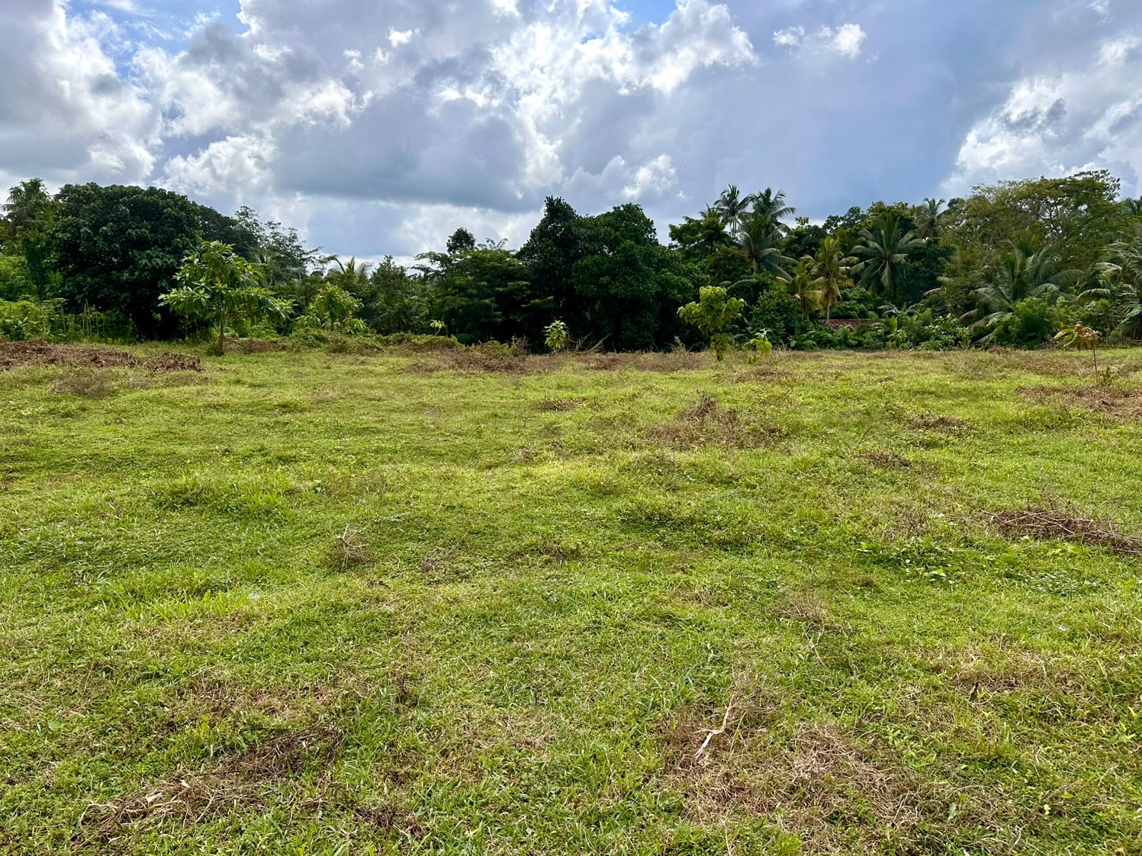 Land For Sale In Aluthgama