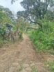 Land with House for Sale Kotmale