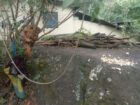 Land with House for Sale Kotmale