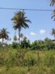 Land for Sale in Kamburugamuwa
