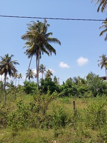 Land for Sale in Kamburugamuwa