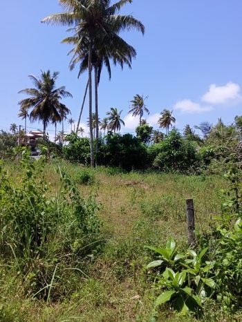 Land for Sale in Kamburugamuwa