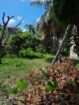 Land for Sale in Kurana Samagi Mawatha Negombo